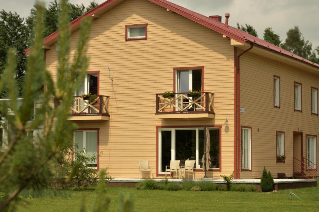 Lavandula Паланга Экстерьер фото
